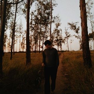 Pedro Occhiuzzo's avatar