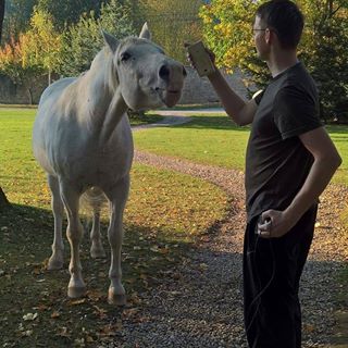 David Parihuzic's avatar