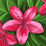 sian w's avatar