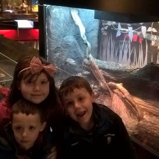 Stephen Hawes's avatar