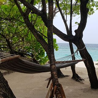 Carlos Joao's avatar