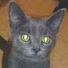 clive burdon's avatar
