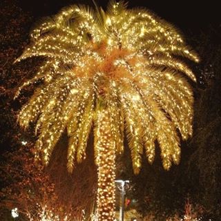 Gabriel Bejan's avatar