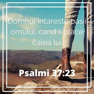 Pompierul Miodrag's avatar