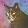 Robin JF M's avatar