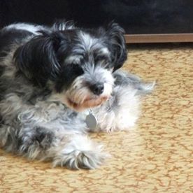 Frank Paschke's avatar