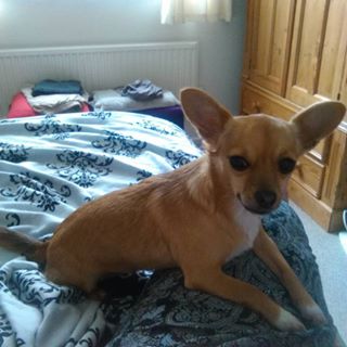 Michael Jefferies's avatar