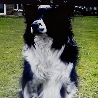 David Bethell's avatar