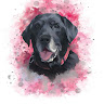 Stef C's avatar