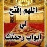 Ezz Ibrahim's avatar