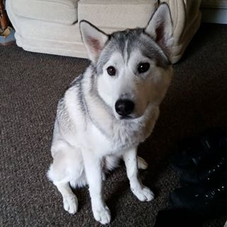 Lezlee Hamp's avatar