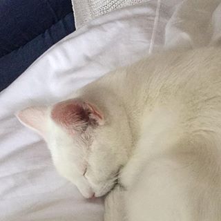 Andrew Cowan's avatar