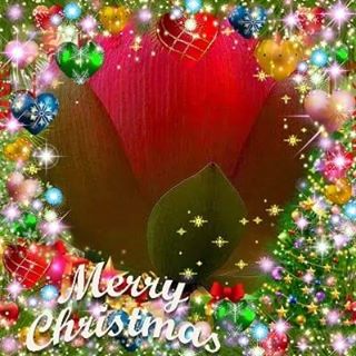 Judi Burgess's avatar