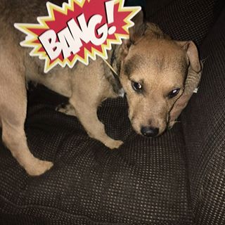 Shaun Sabey's avatar