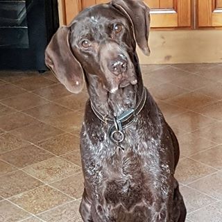 Simon Clare's avatar