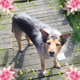 Nicholas Lloyd Hamilton's avatar