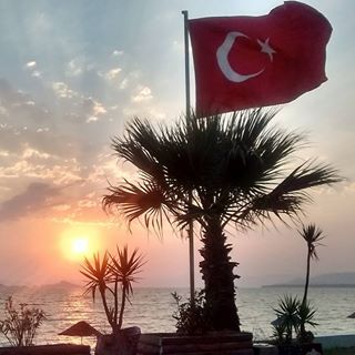 Denise Taylor's avatar