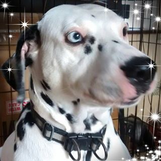 Paul Knowles's avatar