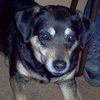 Carole S's avatar