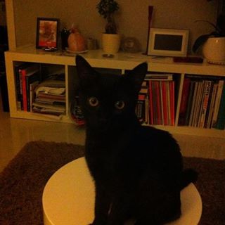 Tomasz Putynkowski's avatar