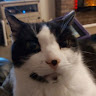 Robert W's avatar