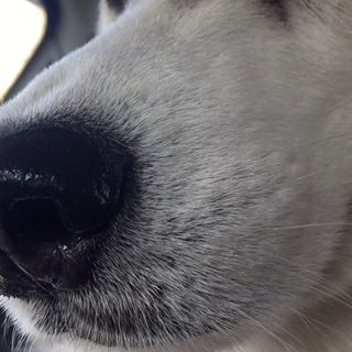 Luke Mitchell Cockerill's avatar