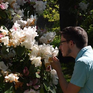 Oisin Wilson's avatar