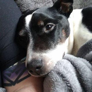 Michael Farquhar's avatar