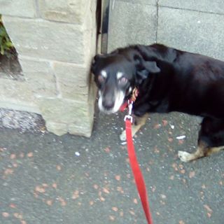 Proby Pemberton's avatar