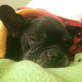 Just Alvaro's avatar