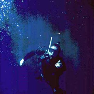 Michel Verdin's avatar