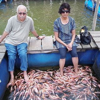 Anil Kumar Ilwahdi's avatar