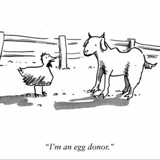 Abbas Hassan's avatar