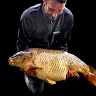 Luke W's avatar