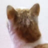 June E Thompson's avatar