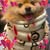 Alina Petruleviciene's avatar