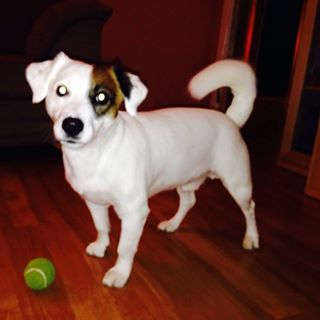 Julie Duthie's avatar