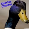 Charles C's avatar