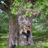 Berta M's avatar