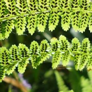 Marilyn Upton's avatar