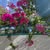 Catherine Morrison's avatar