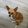 Nicky N's avatar