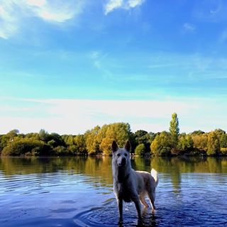 Killersmile Mears's avatar