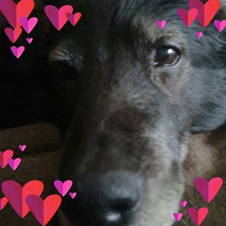 Mandy Hoggarth Kinley's avatar