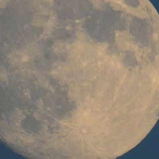 Kathryn Watkins's avatar