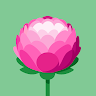 P M's avatar