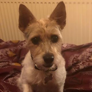Vikki Hobson's avatar