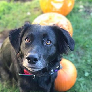 Sam Harris's avatar