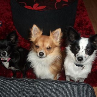 Mark Maloney's avatar