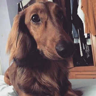 Linda Francis's avatar